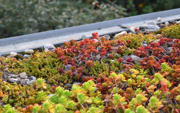 the cost of Greasley green roof installation