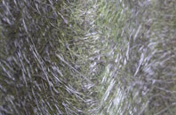 Greasley fibreglass roof work